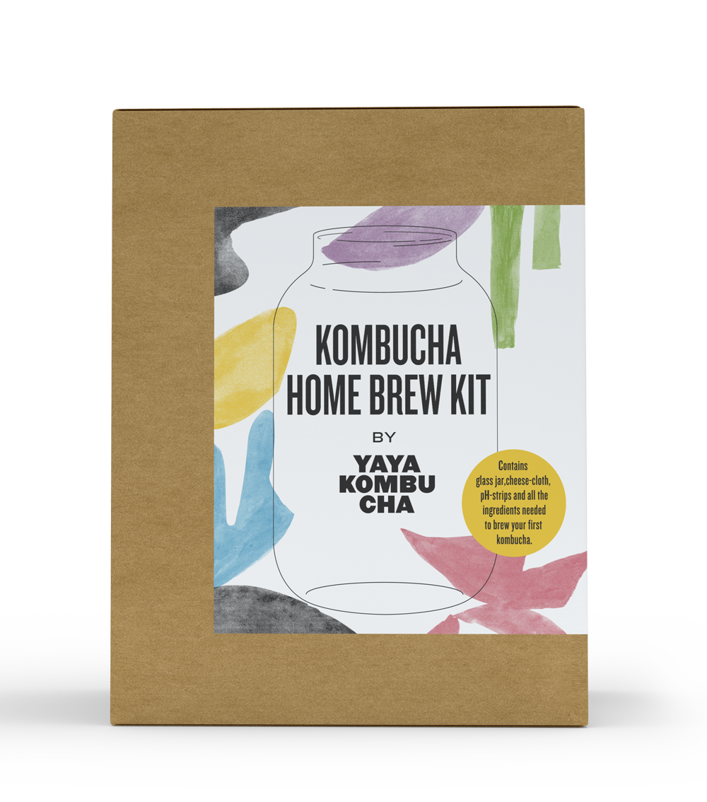 Kombucha Brewing Kit  Gnome Brew - Your Home For Homebrew