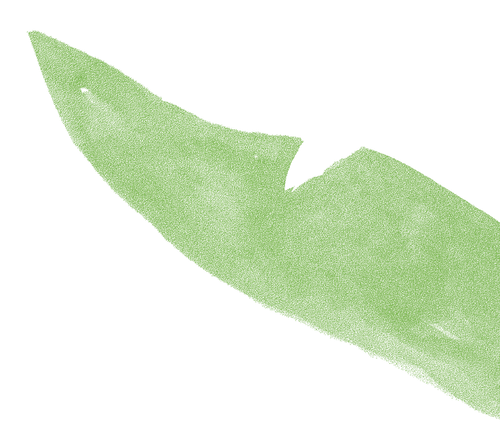 yaya kombucha background image