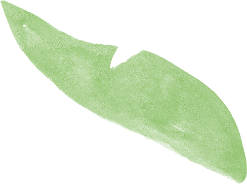 yaya kombucha background visual