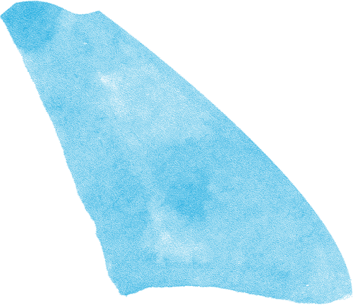 yaya kombucha blog achtergrond