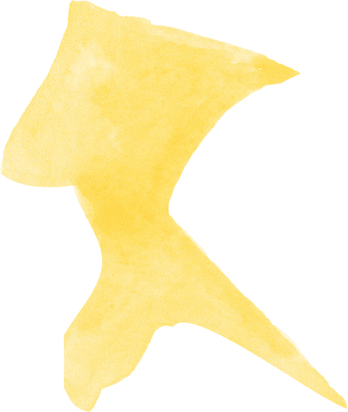 yaya kombucha blog achtergrond