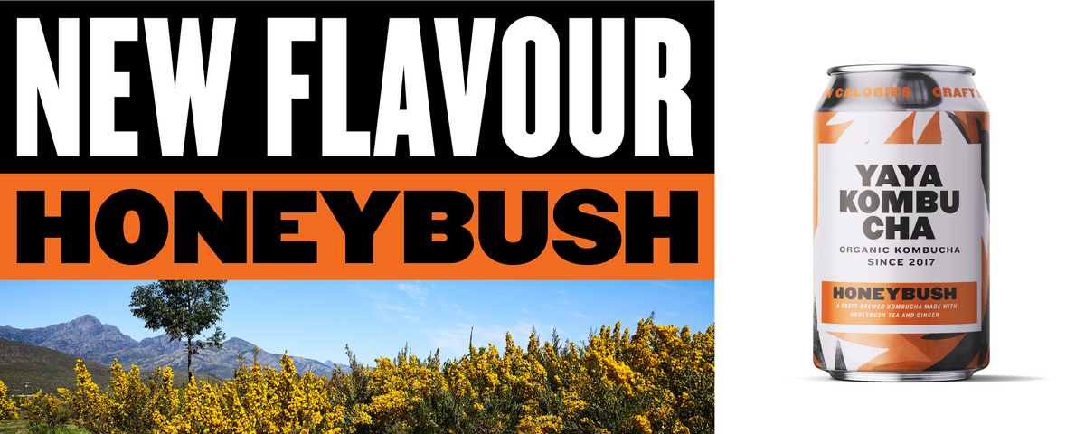 Introducing Honeybush, Our Limited Edition