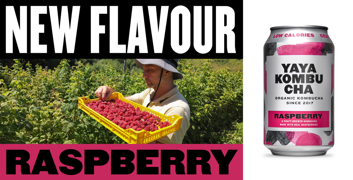 Say hello to Raspberry, our newest flavour. – YAYA Kombucha