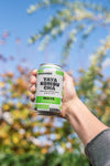 Maté Kombucha - BIO