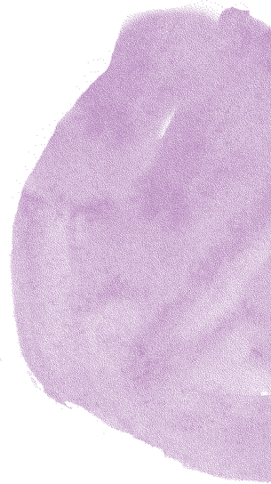 yaya kombucha blog background